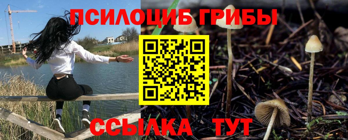 Псилоцибиновые грибы Magic Shrooms Тобольск