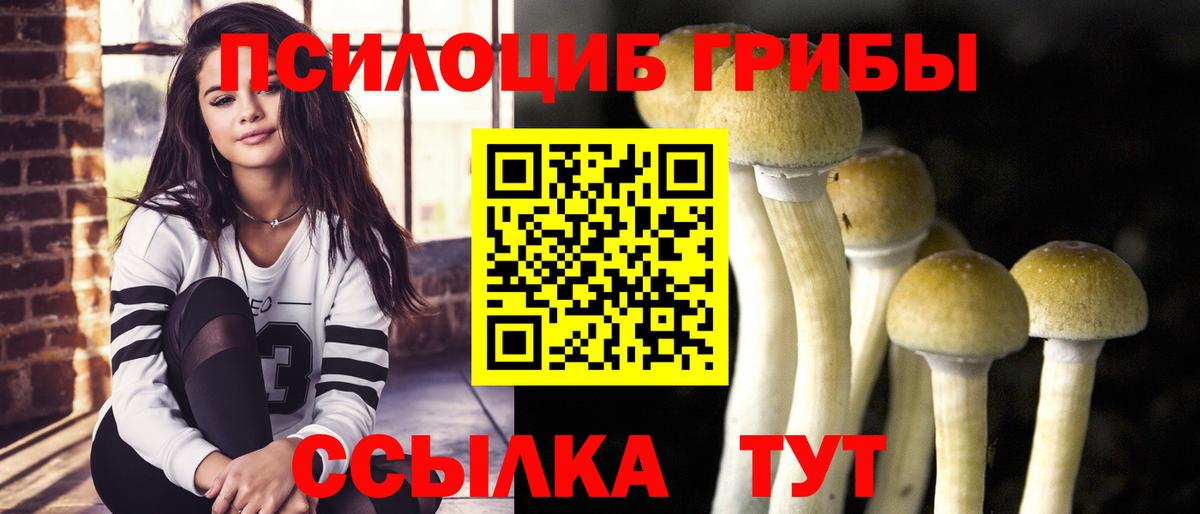 Тобольск  Псилоцибиновые грибы прущие грибы  Псилоцибиновые грибы Cubensis  Вход с VPN 